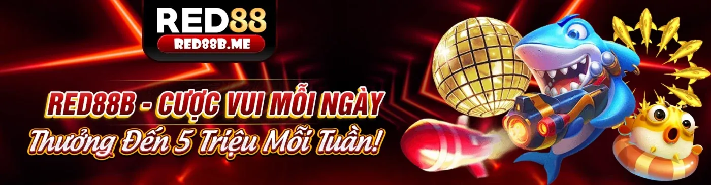 Giao diện Điều Khoản Dịch Vụ 88neo Đăng Nhập chuyên nghiệp